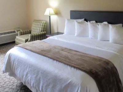 Rodeway Inn モンゴメリー エクステリア 写真